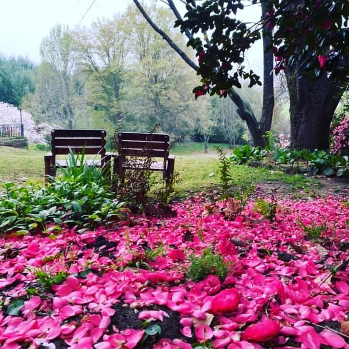Waterford Manor Bed & Breakfast Rosetta Dış mekan fotoğraf